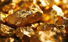 Một lĩnh vực được ví như "mỏ vàng" thu về 2,4 tỷ đô, Việt Nam đang có lợi thế vươn tầm khu vực