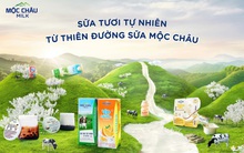 Chìa khóa để Mộc Châu Milk vươn mình mạnh mẽ