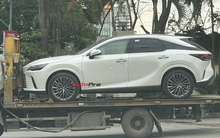 Lexus RX 350h 2025 đã về Việt Nam: Tinh ý mới thấy điểm khác bản xăng, dễ thêm công nghệ, máy tiết kiệm xăng cạnh tranh X5, Q7
