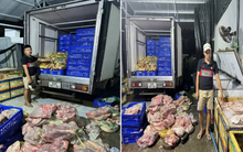 Bắt nhóm đối tượng tuồn hơn 4 tấn thịt lợn bệnh làm giò chả, cung cấp suất ăn công nghiệp