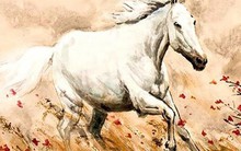 Tháng 4 Âm lịch, có 4 con giáp thăng hoa cả sự nghiệp lẫn tiền tài, may mắn vượt bậc, dễ gặp quý nhân