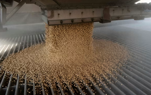 Trung Quốc 'quay lưng' dừng nhập khẩu, Mỹ lập tức tìm thấy ‘cứu tinh’ cho mặt hàng then chốt, nhu cầu hơn 3 triệu tấn mỗi năm