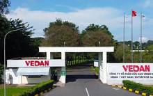 Đại gia mì chính, bột ngọt lớn nhất Đông Nam Á than 'khốc liệt' dù thị trường Việt Nam đem về hơn 4.000 tỷ doanh thu, vượt trội so với Nhật Bản, Trung Quốc, Mỹ