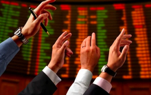 Một cổ phiếu tăng phi mã, trần 7 phiên liên tiếp: Công ty lý giải “do nhận được sự tín nhiệm của nhà đầu tư”