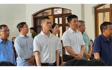 Tuyên án vụ hơn 500 biệt thự xây trái phép tại Đồng Nai