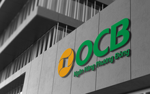 OCB công bố kết quả kinh doanh Quý 1/2025, lợi nhuận trước thuế đạt 893 tỷ đồng