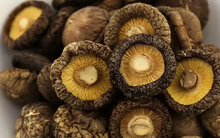 Gặp 5 loại rau này ở chợ nên mua ngay, điểm chung là vị đắng nhưng bổ dưỡng hơn nhân sâm, giúp kéo dài tuổi thọ