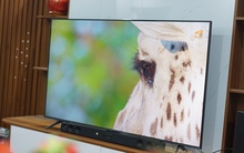 Đánh giá TCL 65C6K: TV QD-Mini LED sáng giá trong phân khúc dưới 20 triệu