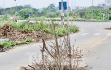 Hà Nội: Công viên nghìn tỷ dang dở, thành nơi trồng rau, đổ rác, tập lái ô tô