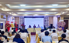 ĐHCĐ DNP Holding: Mục tiêu gần 9.700 tỷ đồng doanh thu, ưu tiên đầu tư hạ tầng và nước sạch ĐBSCL