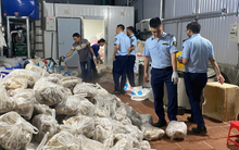 Phát hiện "bí mật khủng" trong hàng trăm chiếc túi nilon tại kho lạnh ở Hà Nội