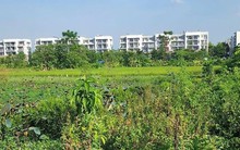 Vĩnh Phúc thu hồi gần 1,1ha đất của 14 hộ để làm dự án đô thị