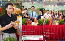 Hỗ trợ doanh nghiệp địa phương phát triển bền vững trên nền tảng số