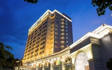 Doanh thu của RIC đạt hơn 133 tỷ đồng năm 2024, tăng trưởng 20%