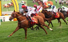 Thị phần môi giới HoSE quý 1/2025: SSI lên cao nhất 6 quý