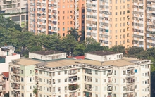 ‘Tuyệt vọng’ mua nhà Hà Nội, tôi về quê xây nhà to như lâu đài