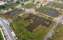 TPHCM nói về tiến độ đấu giá đất Thủ Thiêm