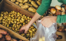 Đi chợ thấy 4 kiểu khoai tây này cho không cũng đừng lấy! Ăn đến đâu cơ thể bị “nhiễm độc” đến đấy