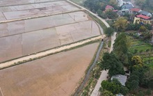 Mới nhất về xử phạt hành vi tự ý "biến" đất trồng lúa thành đất ở, người dân sẽ bị phạt tới 400 triệu đồng