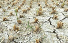 Mối đe dọa lạm phát lớn hơn thuế quan