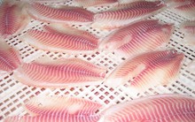 Việt Nam xuất khẩu hàng trăm nghìn tấn sản vật trị giá hơn 10 tỷ USD của TG: Mỹ, Nga liên tục chốt đơn