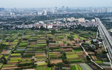 Gia hạn nộp tiền thuê đất năm 2025