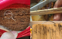 Danh sách 4 thứ trong nhà cần "khai tử" gấp vì chúng là "đồng bọn" của ung thư