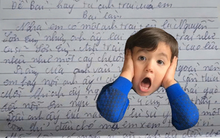 Bài văn "review" anh trai khiến dân mạng cười bò: Cùng tên với ca sĩ Sơn Tùng, nhưng phiên bản "cây nhà lá vườn" này thì hơi khó nói