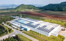 Hai công ty chủ lực của Tập đoàn TH đạt chứng nhận trung hoà carbon quốc tế: Hé lộ đặc biệt từ chính đơn vị thẩm định