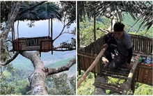 Chàng trai Đắk Lắk làm nhà trên cây cổ thụ cao 50 mét, hàng nghìn người theo dõi quá trình