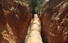 Công trường dừng thi công khẩn cấp vì phát hiện cây gỗ dài 30,5m, “cứng như đá”: Chuyên gia khẳng định "kho báu" này không dưới 503 tỷ đồng