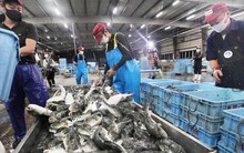 Áp thuế 46%: Hơn 37.000 tấn thủy sản Việt Nam đang trên đường sang Mỹ