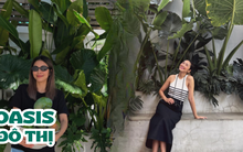 2 loại cây được ưa chuộng sử dụng trong nhà hàng của nàng dâu hào môn Tăng Thanh Hà