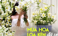 Tháng 4 về, chị em rủ nhau khoe bình hoa loa kèn đẹp rực rỡ, đỉnh nhất vẫn là căn nhà với 2.000 bông hoa