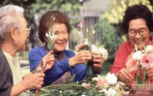 Nghỉ lễ, liên tục tham dự 3 buổi tụ họp, cụ ông U70 quyết định ngừng gặp gỡ vô nghĩa: Quan hệ họ hàng, bè bạn hay đồng nghiệp phải tỉnh táo