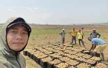 Team "Cuộc sống ở châu Phi" của Quang Linh Vlogs giờ ra sao?