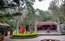 Kinh nghiệm du lịch Đền Hùng từ A đến Z