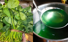 4 dấu hiệu nhận biết rau muống "tắm" thuốc trừ sâu, người thông thái sẽ không bao giờ mua