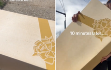 Nhặt được chiếc hộp bị vứt trên vỉa hè, cô gái kinh ngạc khi mở ra xem bên trong