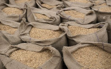 Mỹ áp thuế đối ứng 36%, Thái Lan kêu gọi bảo vệ một loại nông sản vì lo mất thị phần vào tay Việt Nam