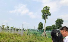 Lý do giá đất nền vùng ven tăng 'dựng đứng' nhưng nhà đầu tư vẫn thận trọng