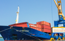 Mỹ vừa chốt xong hơn 700 triệu USD một 'mỏ vàng' của Việt Nam: Không phải chịu thuế đối ứng 46%, nước ta là ông trùm thứ 3 thế giới