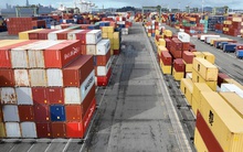 Ứng phó thuế đối ứng của Mỹ: 'Việt Nam cần thích nghi, sau đó dẫn dắt sự thay đổi, phải ứng xử như một nước lớn'