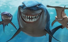 Pyn Elite Fund bất ngờ "gom" cổ phiếu MWG khi giá giảm sâu