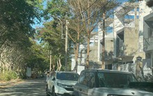 Đất Cần Giờ "sốt" theo đại dự án