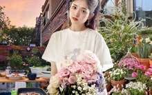 Ở tuổi 31, cô gái trẻ đã mua được căn nhà có sân vườn và sau 300 ngày, khu vườn đã nở rộ đầy hoa!