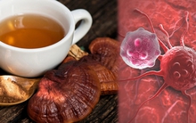 Nấm linh chi có thể tiêu u, chữa ung thư? Chuyên gia lên tiếng chia sẻ sự thật!