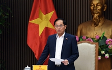 Triển khai nhanh hơn, hiệu quả hơn các cam kết quốc tế