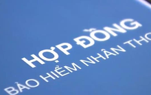 Sau 10 năm tham gia bảo hiểm nhân thọ, bạn sẽ nhận được bao nhiêu tiền?