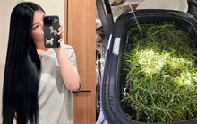 Nước thần tự nhiên giúp tóc mọc nhanh, mềm mượt, hơn hết là giá rẻ và dễ làm